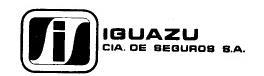 I IGUAZU CIA. DE SEGUROS S.A.