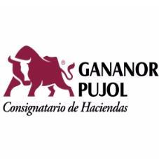 GANANOR PUJOL CONSIGNATARIO DE HACIENDAS