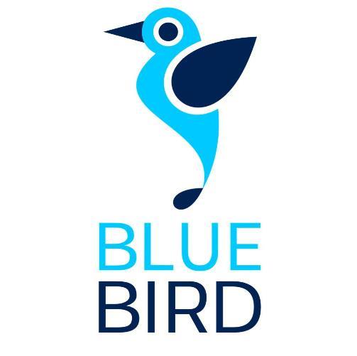 BLUE BIRD