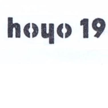 HOYO 19