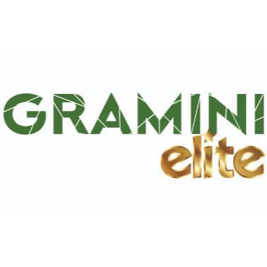 GRAMINI ELITE