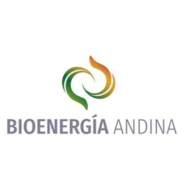 BIOENERGÍA ANDINA