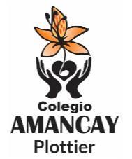 COLEGIO AMANCAY PLOTTIER