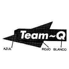 TEAM-Q