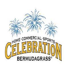 CELEBRATION BERMUDAGRASS HOME - COMMERCIAL - SPORTS