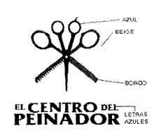 EL CENTRO DEL PEINADOR