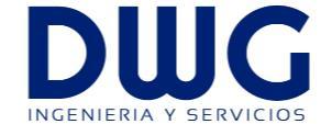 DWG INGENIERÍA Y SERVICIOS