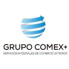 GRUPO COMEX + SERVICIOS INTEGRALES DE COMERCIO EXTERIOR