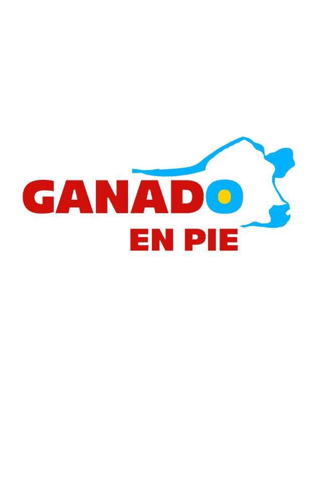 GANADO EN PIE