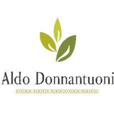 ALDO DONNANTUONI