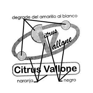 CITRUS VALLONE