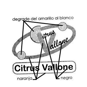 CITRUS VALLONE