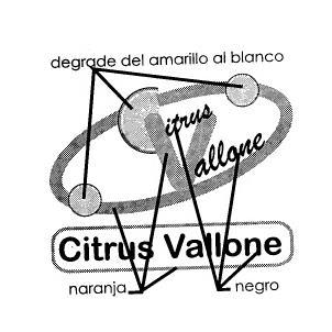 CITRUS VALLONE