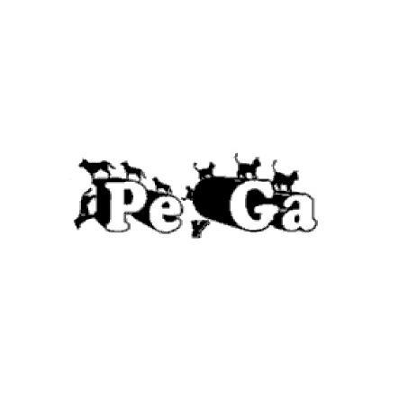 PE Y GA