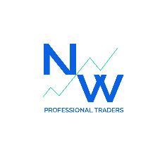 N W PROFESSIONAL TRADERS