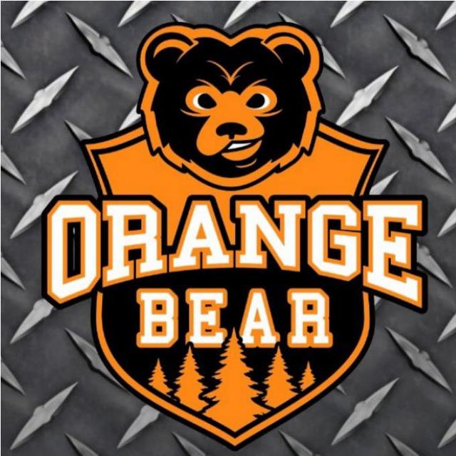 ORANGE BEAR