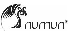 NUMUN