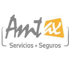 AMTAX - SERVICIOS + SEGUROS