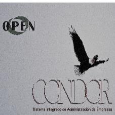 OPEN-OPEN SOLUTIONS ARGENTINA S.A.-CONDOR-SISTEMA INTEGRADO DE        ADMINISTRACION DE EMPRESAS