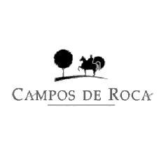 CAMPOS DE ROCA