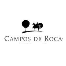 CAMPOS DE ROCA