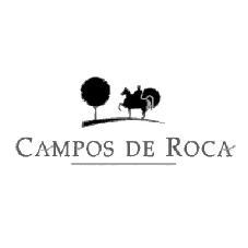 CAMPOS DE ROCA