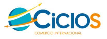 CICLOS COMERCIO INTERNACIONAL