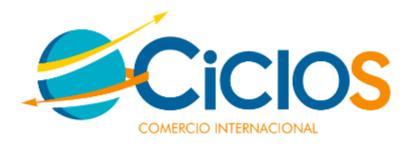 CICLOS COMERCIO INTERNACIONAL