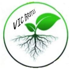 VIC BROTES