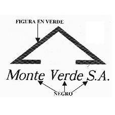 MONTE VERDE S.A.