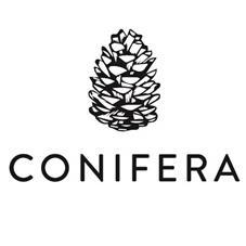 CONIFERA