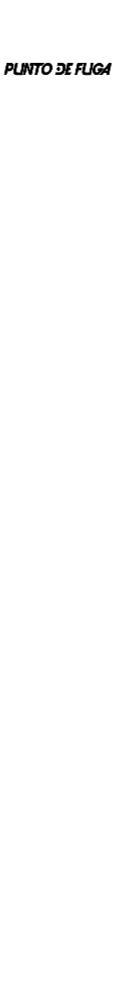PUNTO DE FUGA