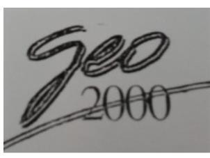 GEO 2000