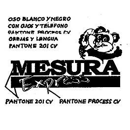 MESURA EXPRESS