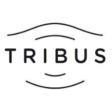 TRIBUS