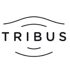 TRIBUS