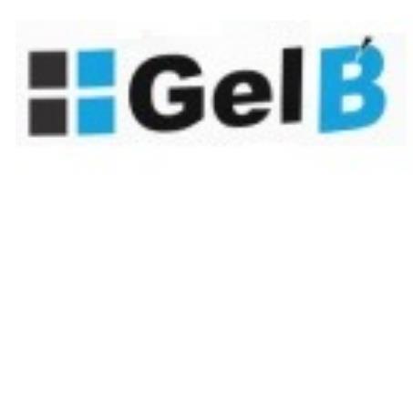 GEL B