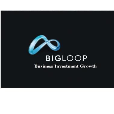 BIGLOOP BUSINESS INVESTMENT GROWTH