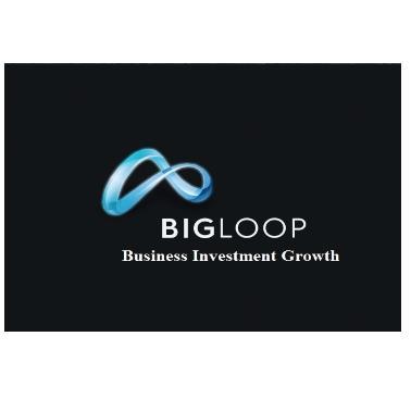 BIGLOOP BUSINESS INVESTMENT GROWTH