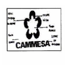 CAMMESA