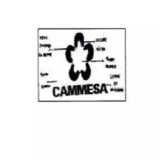 CAMMESA