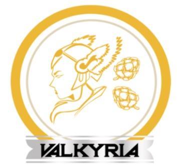 VALKYRIA CERVEZA ARTESANAL