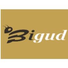 BIGUD