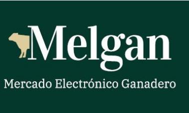 MELGAN MERCADO ELÉCTRICO GANADERO