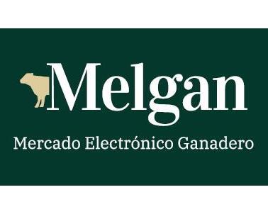 MELGAN MERCADO ELÉCTRICO GANADERO