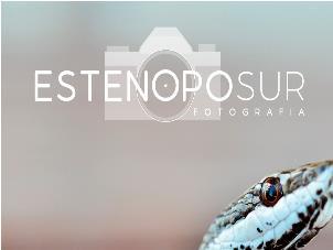 ESTENOPO SUR FOTOGRAFIA