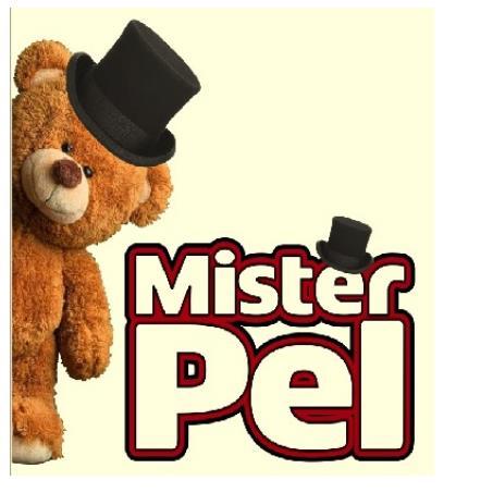 MISTER PEL