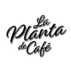 LA PLANTA DE CAFÉ