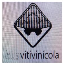 BUS VITIVINICOLA