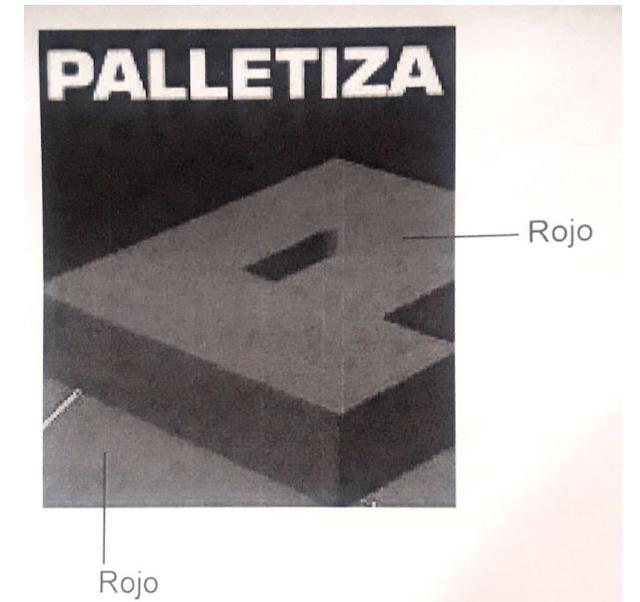 PALLETIZA P